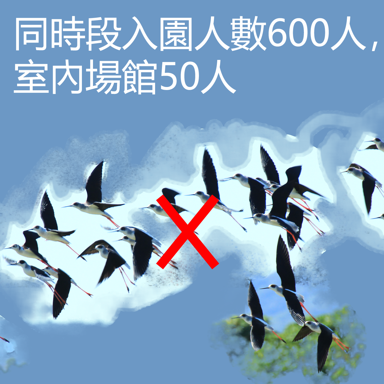 60fe837d16948