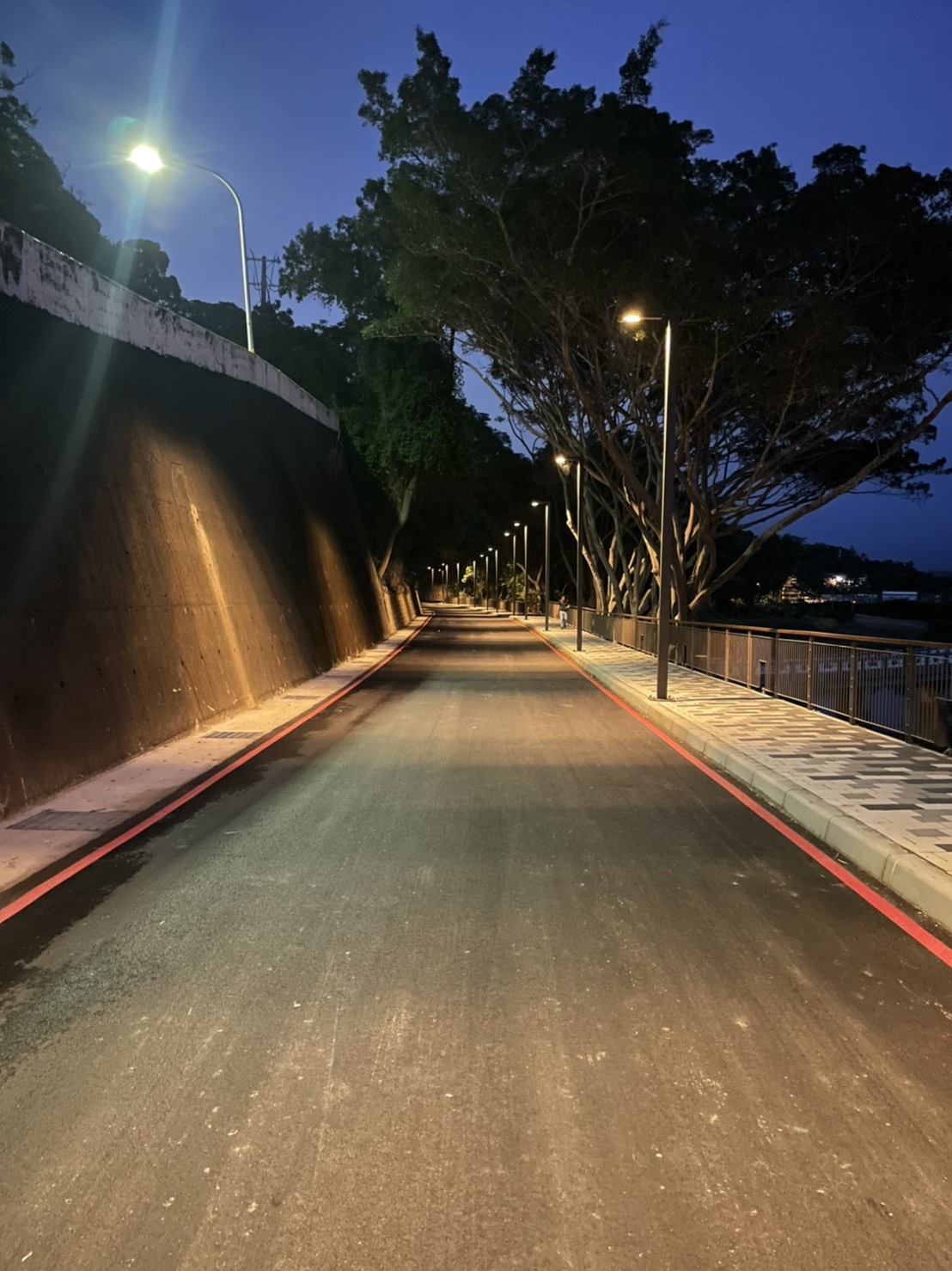 觀光新亮點竹市青草湖公園啟用 地方 自由時報電子報