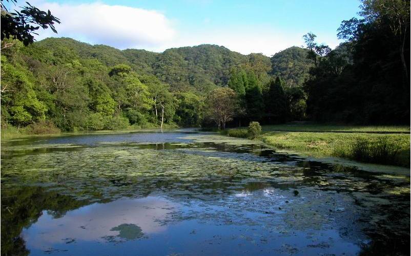 低氣壓影響劇烈 已申請福山植物園入園者明後天可彈性延後 旅遊 新頭殼newtalk