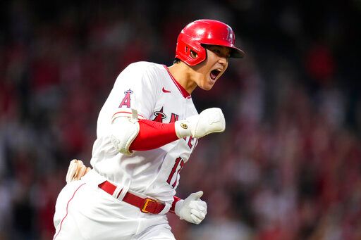 61187338c913c