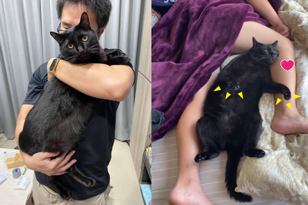 基金開箱文 鋒裕策略收益債券 除了高息 還有什麼