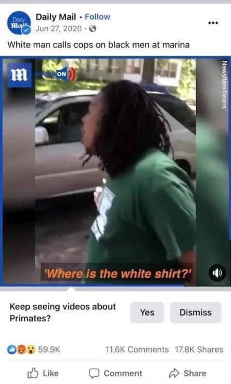 臉書的AI功能將一名黑人男子標註為「靈長類動物」。   圖: 翻攝自臉書/Daaily Mail