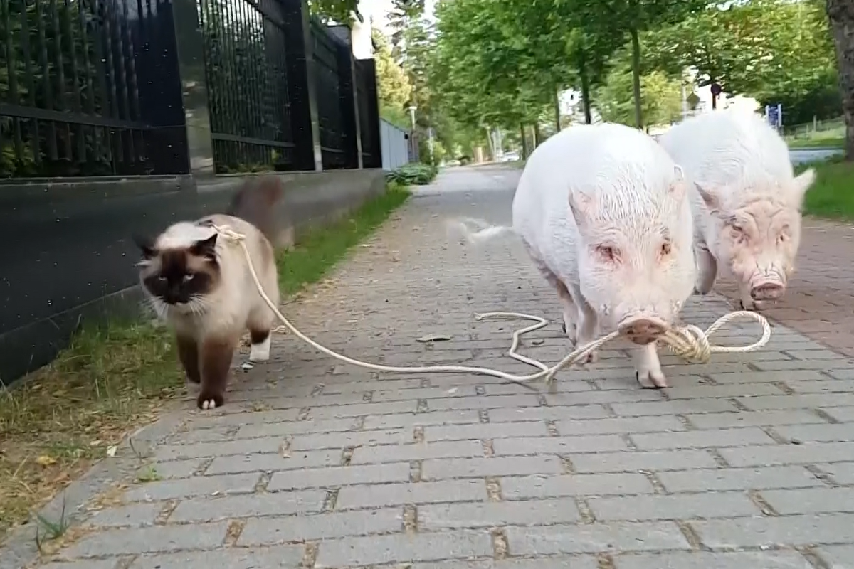 614a8ef59a1ee