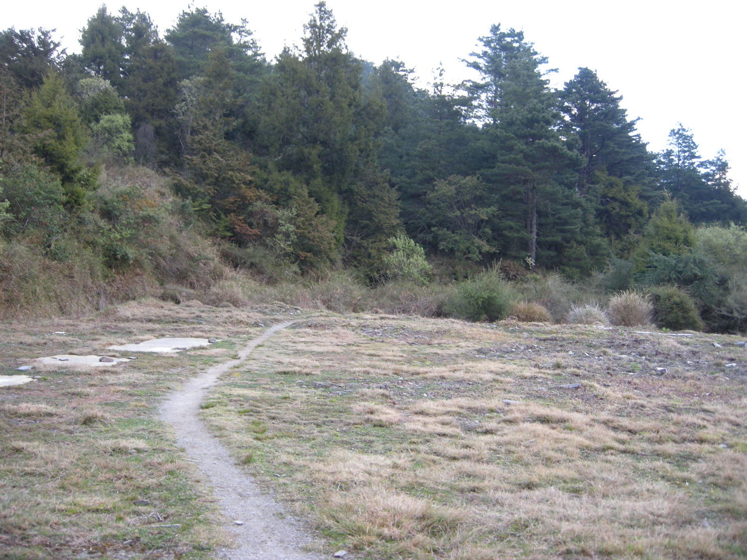 614b106990b05