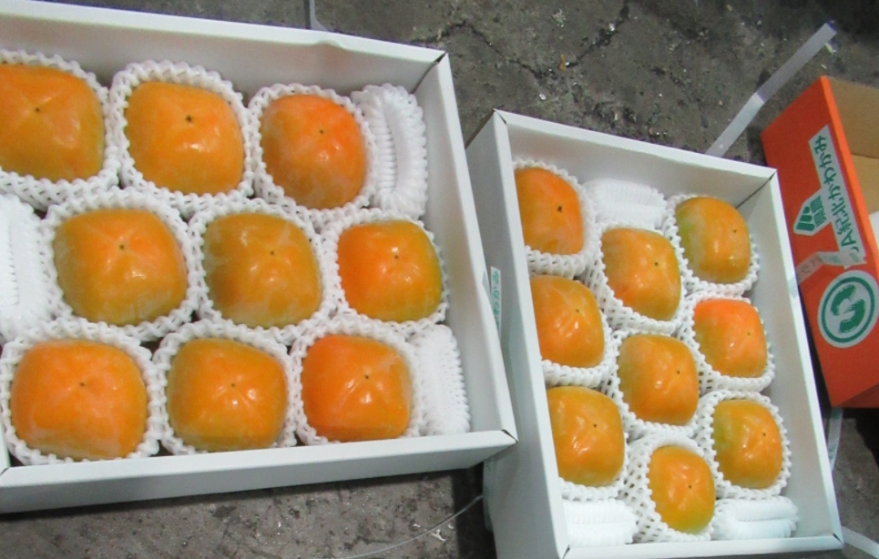 日本出口之和歌山鮮柿子被驗出農藥殘留量超標。   圖：食藥署／提供