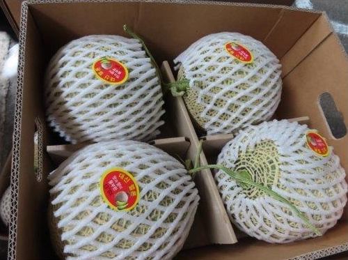 韓國出口之新鮮哈密瓜被驗出農藥殘留量超標。   圖：食藥署／提供