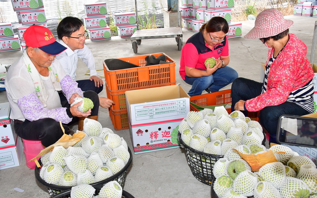 中國禁台水果 劉櫂豪要求辦「鳳梨釋迦農民收入保險」每公頃保障40萬 |