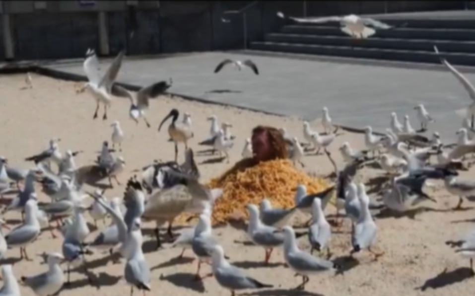 (影) 想紅想瘋了! 澳洲網紅用薯條「活埋」自己餵海鷗 | 國際 | N