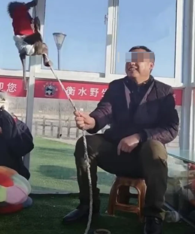 61850916aa514