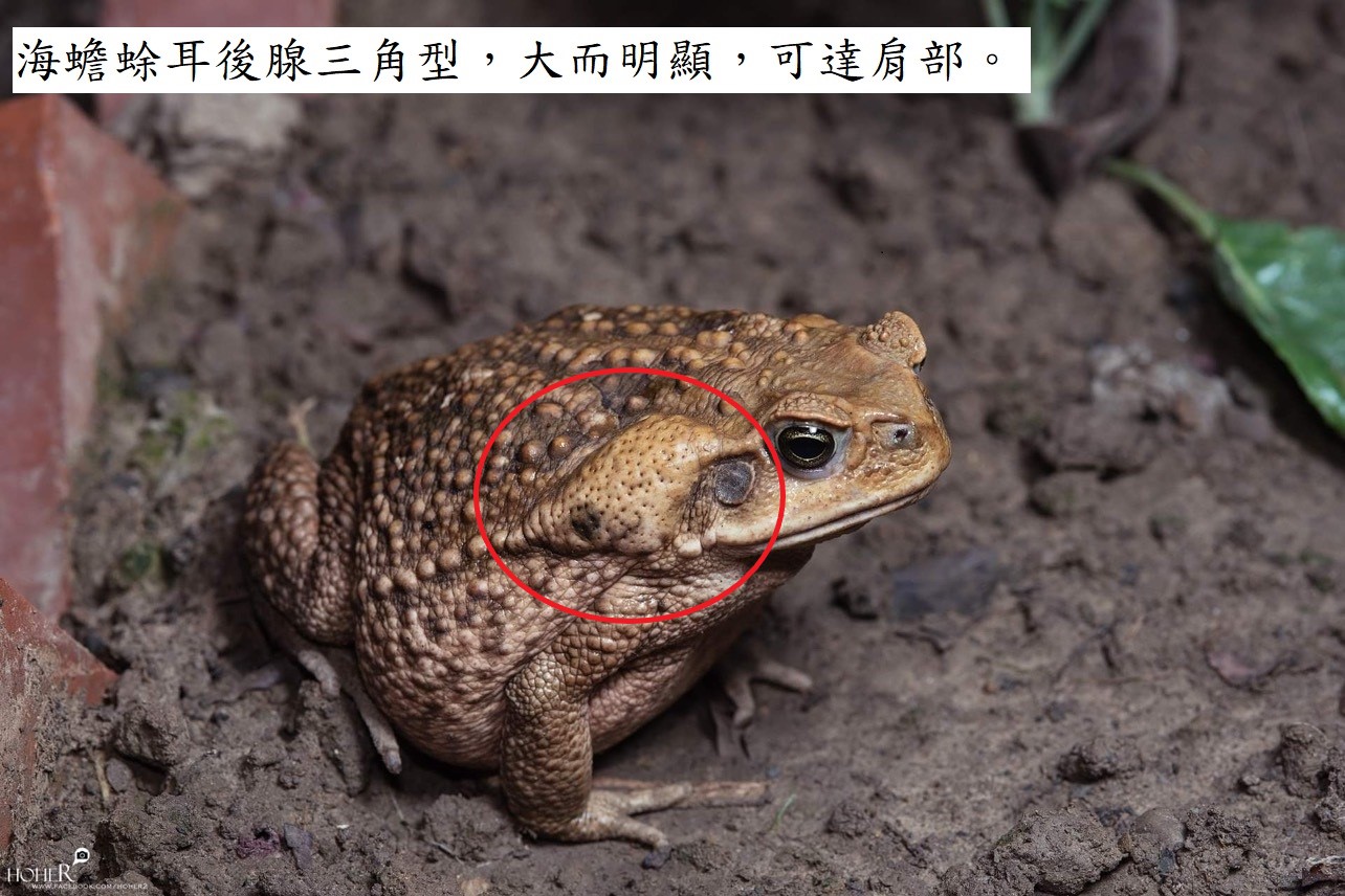 618e2d06034b2