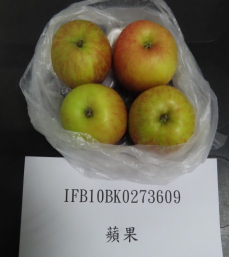 619cad3ec505a