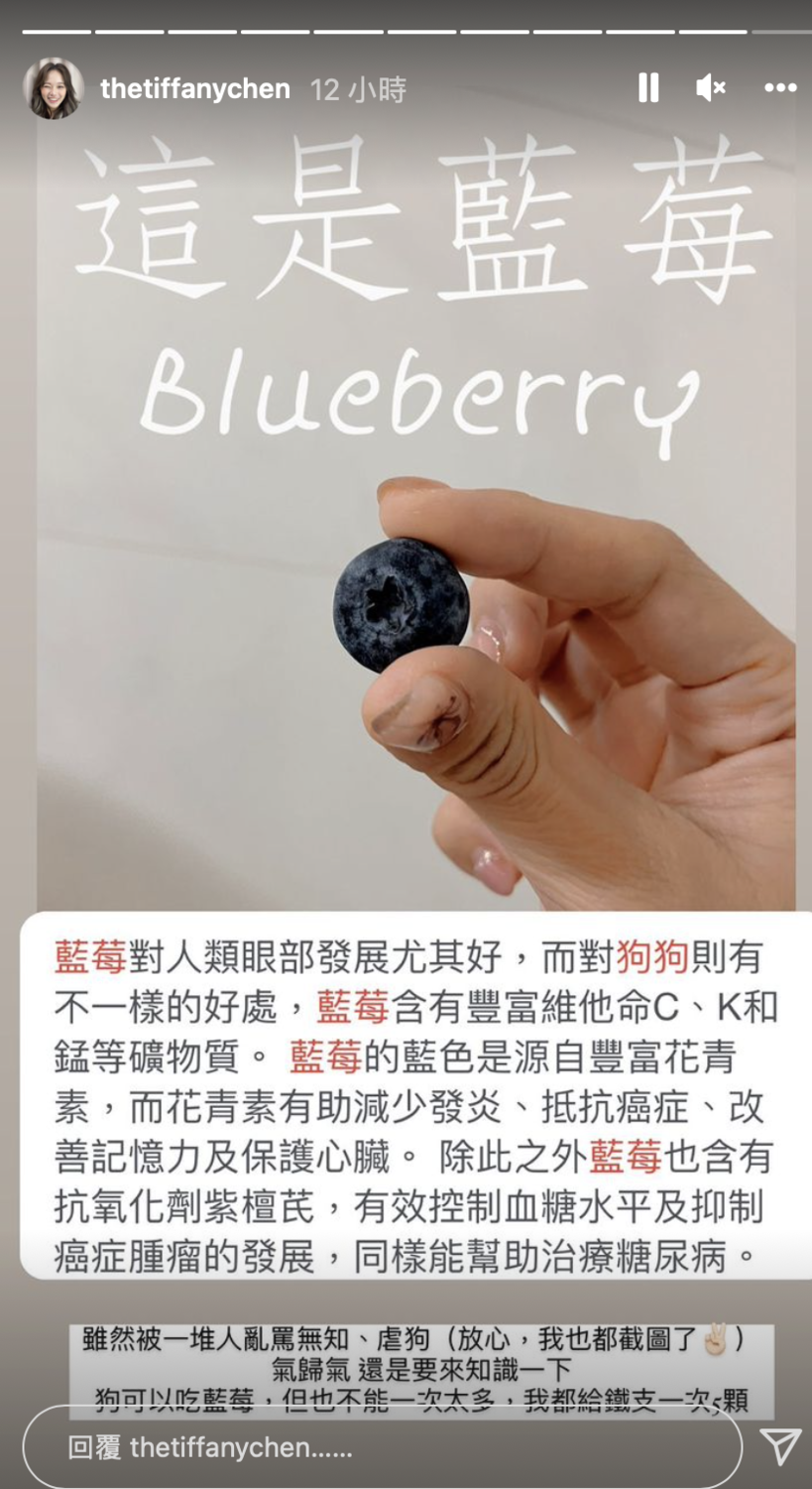 陳彥婷表示餵食給毛孩吃的是藍莓。   圖：翻攝自IG/陳彥婷 
