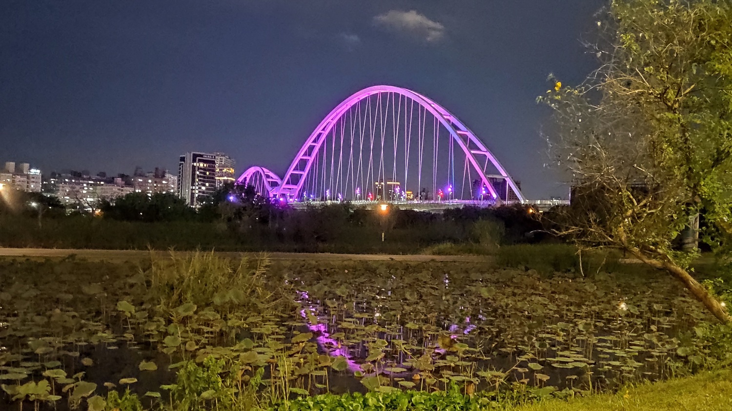 新月橋是大漢溪知名的景點。   圖：新北市水利局提供