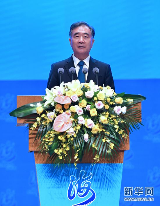 中共中央政治局常委、全國政協主席汪洋。   圖：翻攝新華網