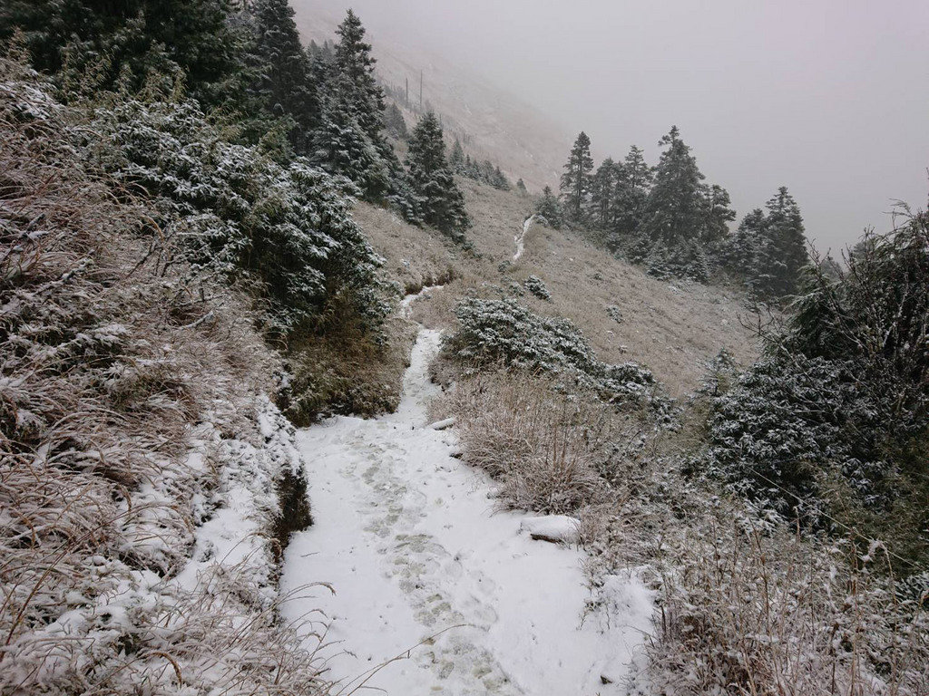 受到冷氣團影響，雪霸國家公園高山地區降雪明顯。   圖：雪霸國家公園管理處／提供