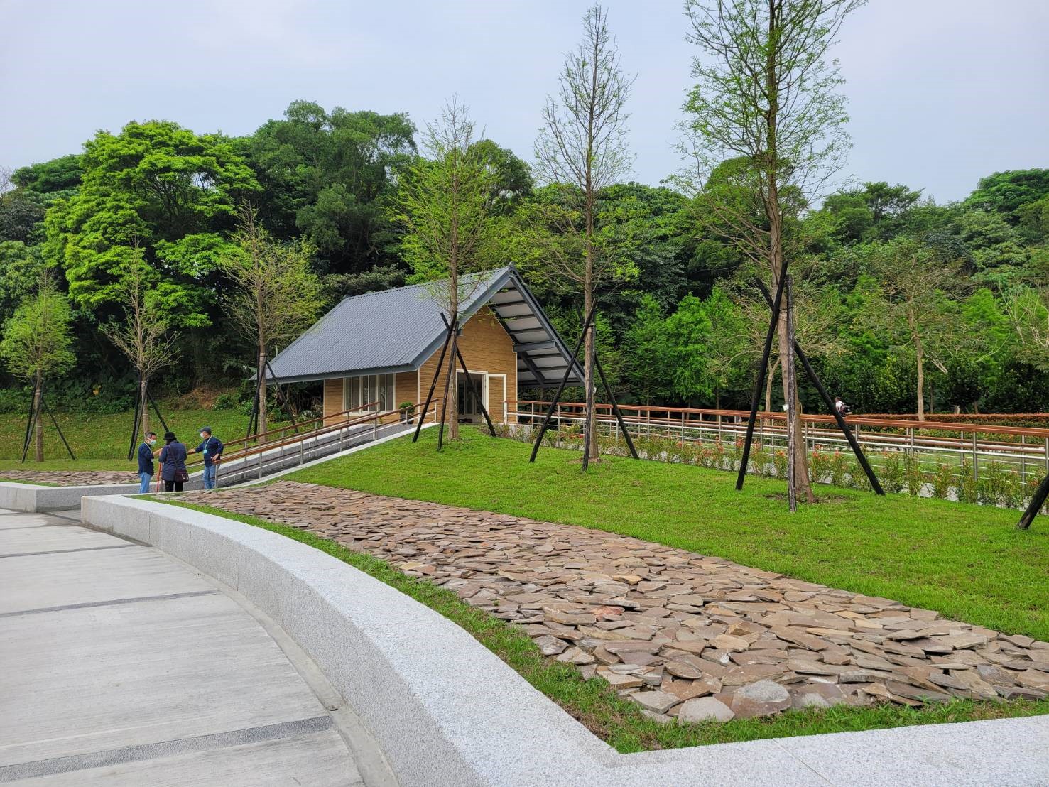 台北市富德公墓樹葬「落羽之丘」。   圖：內政部提供