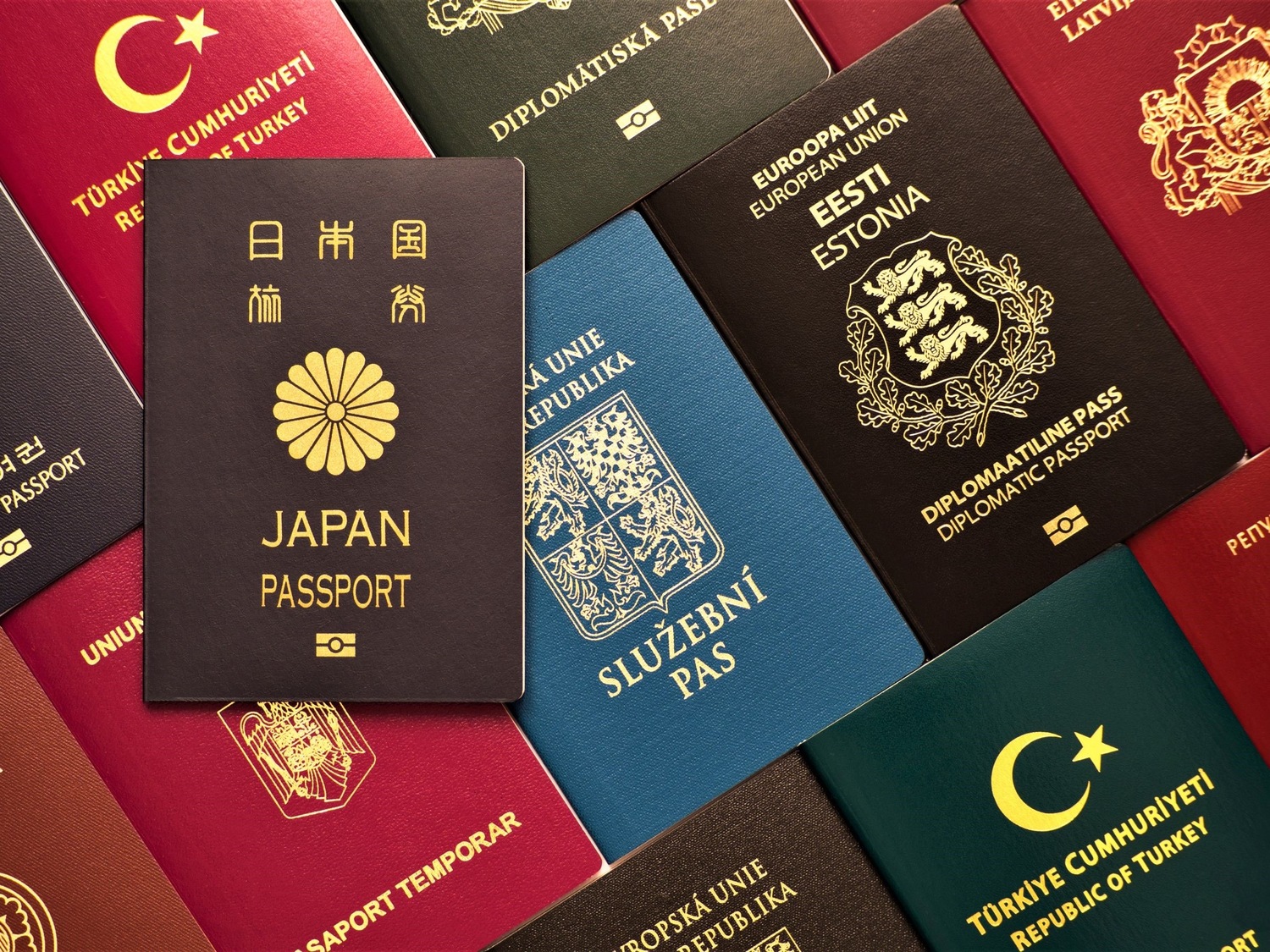 內政部審查通過：添7名文教類高專人才 累計224人歸化我國
