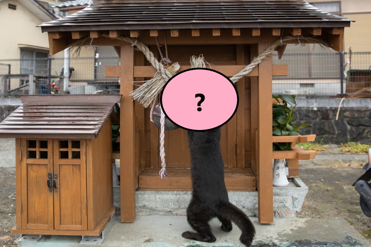 日本一隻黑貓在小神社「忙打掃」！   圖：翻攝自twitter帳號okirakuoki