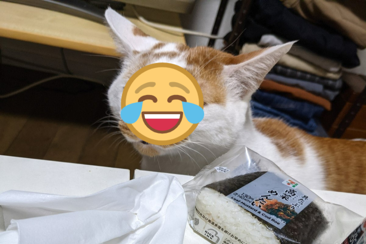 橘白貓發現桌上有食物，眼神哀怨地直盯著。   圖：翻攝自twitter帳號tatatano129