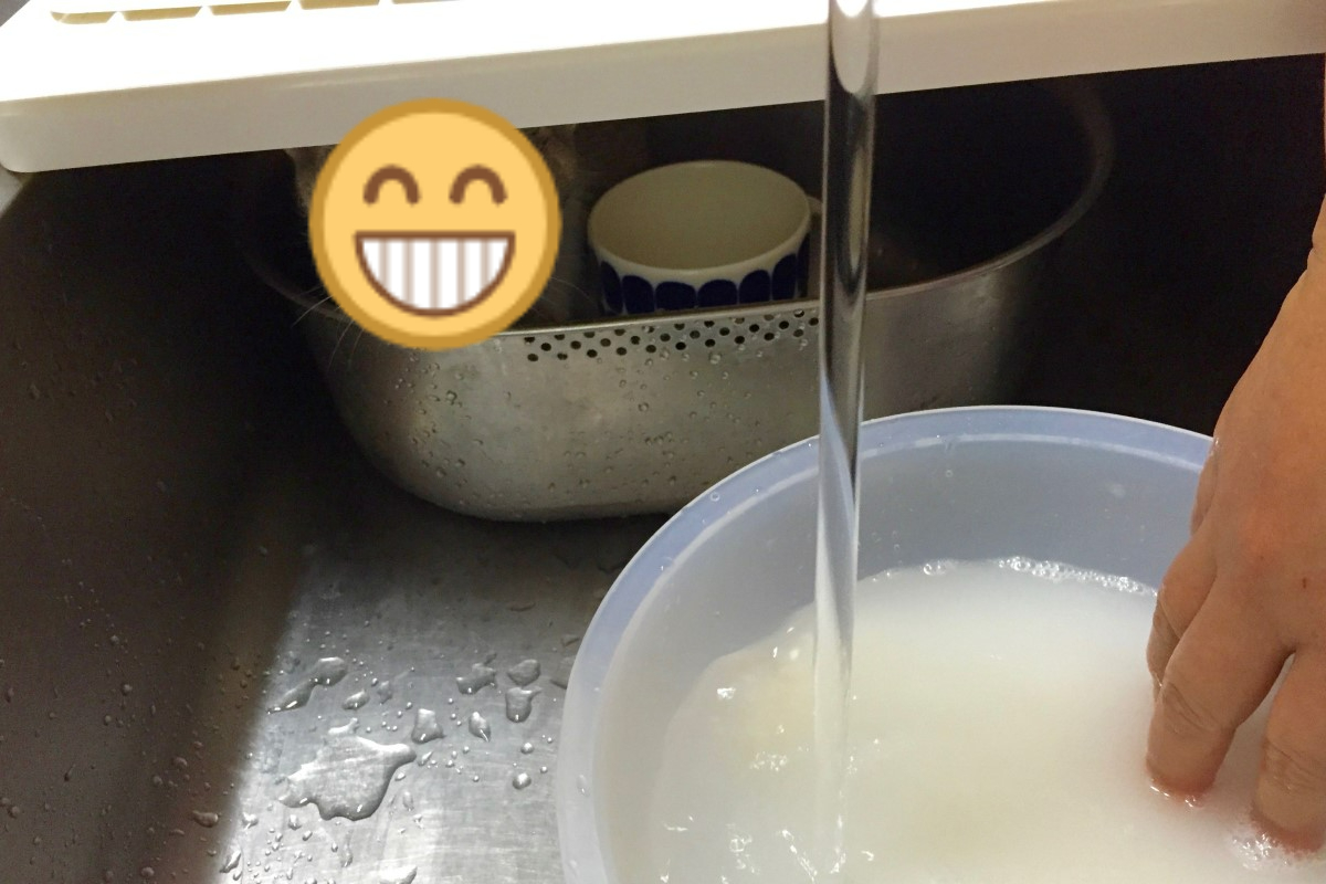 日本一名推主在廚房洗米時，驚見水槽裡有「小毛怪」！   圖／twitter帳號moto_n