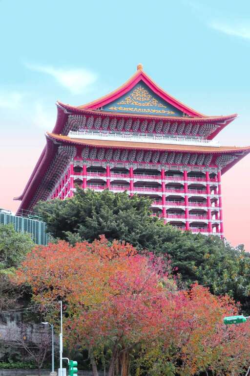 北市中山北路四段圓山大飯店前的紅葉植物是烏桕。   圖：取自台北旅遊網