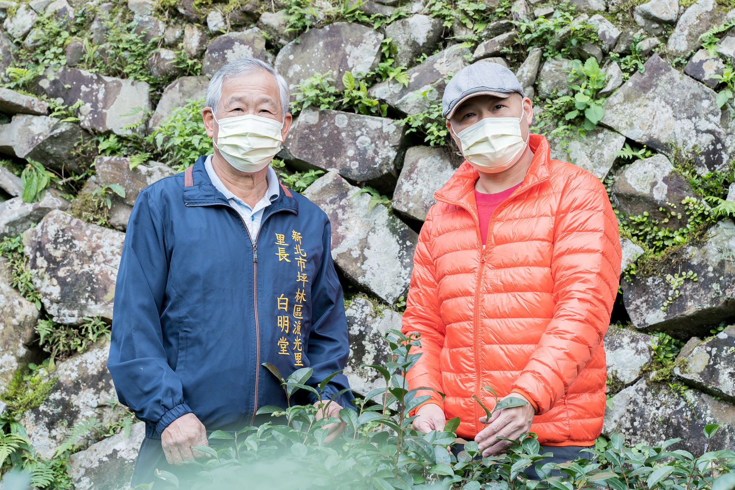 坪林漁光里長白明堂(左一)與其子白錦祥(右一)，秉持環境永續使命，帶頭轉型植茶模式改以有機農法。   圖：新北市民政局提供