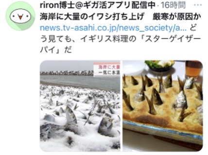近期北海道稚內市沿岸長達 10 公里的範圍內都能發現沙丁魚的死屍，有網友就聯想到暗黑料理「仰望星空派」。   圖：擷取自推特