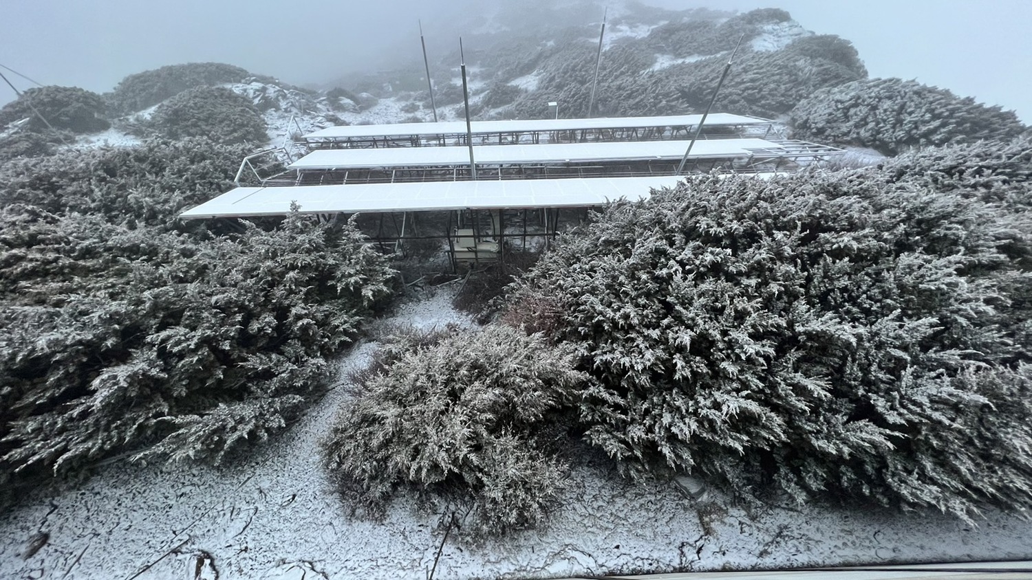 玉山今日上午降雪近2小時。   圖：中央氣象局／提供