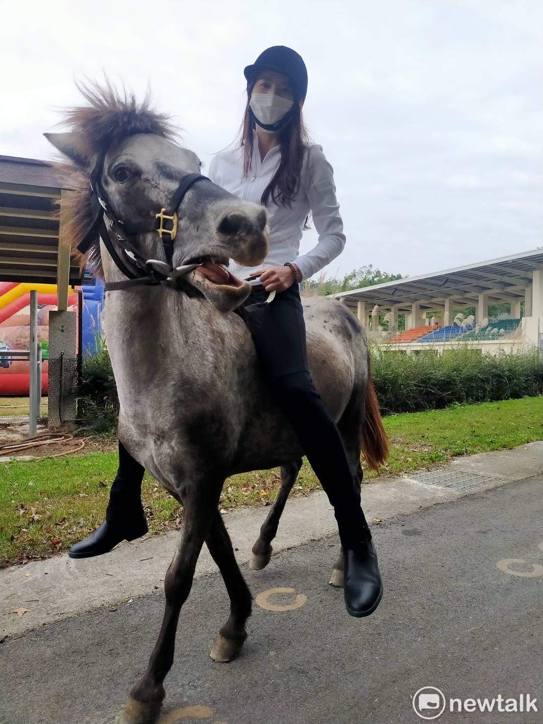 在后里馬場園區有機會巧遇漂亮女騎士騎著迷你馬，可以拍照合影。    唐復年/攝