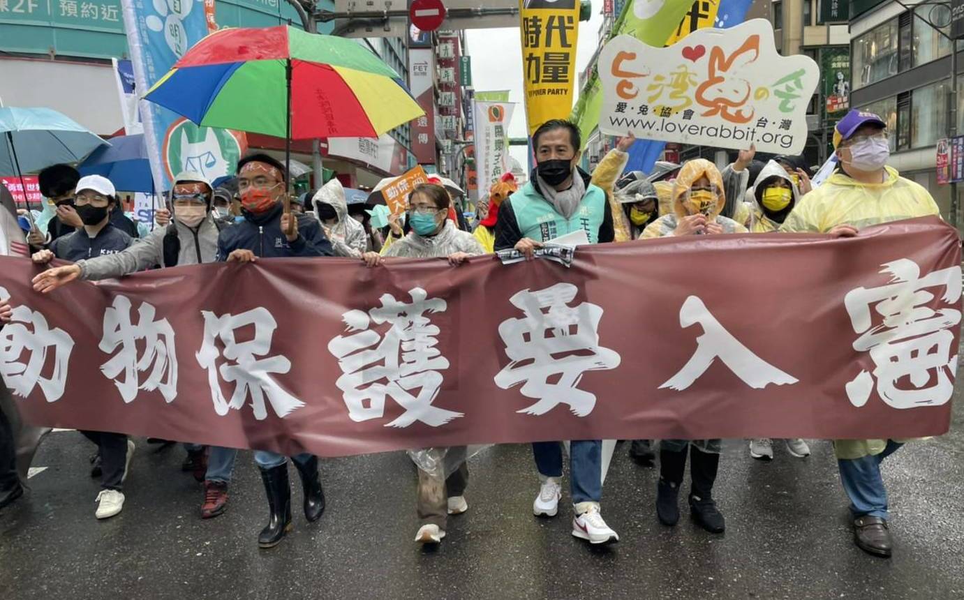 推動動保權益入憲 律師陳妙真：台灣成為真正對動物友善的國家 | 政治 |