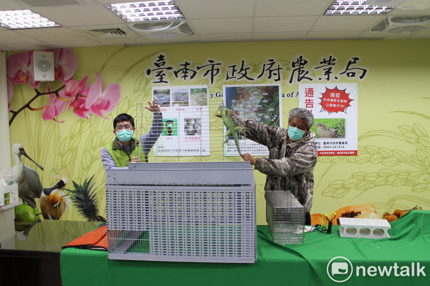 多管齊下防除綠鬣蜥成效佳  黃偉哲籲市民要有三不原則