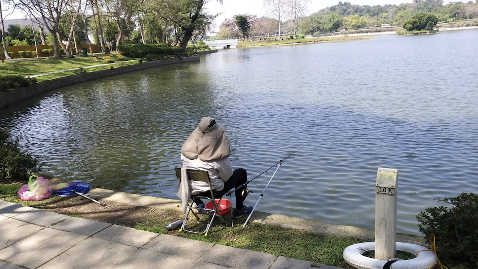 台南虎頭埤外來魚種入侵嚴重！市府辦釣魚比賽 獎金最高可得5千元
