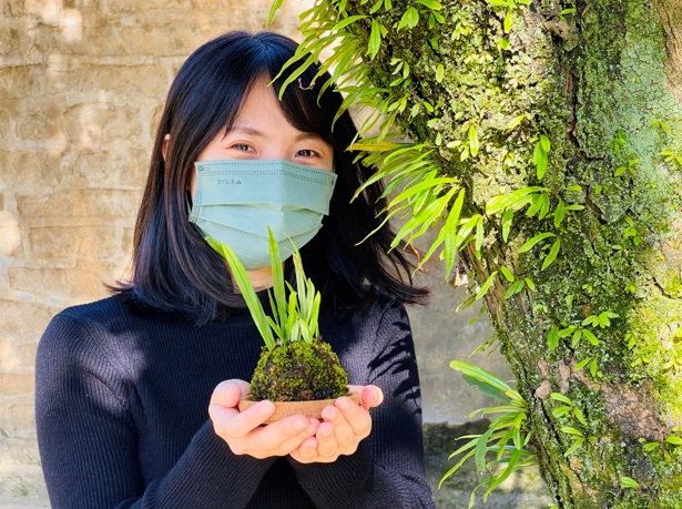 新北淡古響應國際森林日推限定專場植物導覽 苔球diy 生活 Newtalk新聞