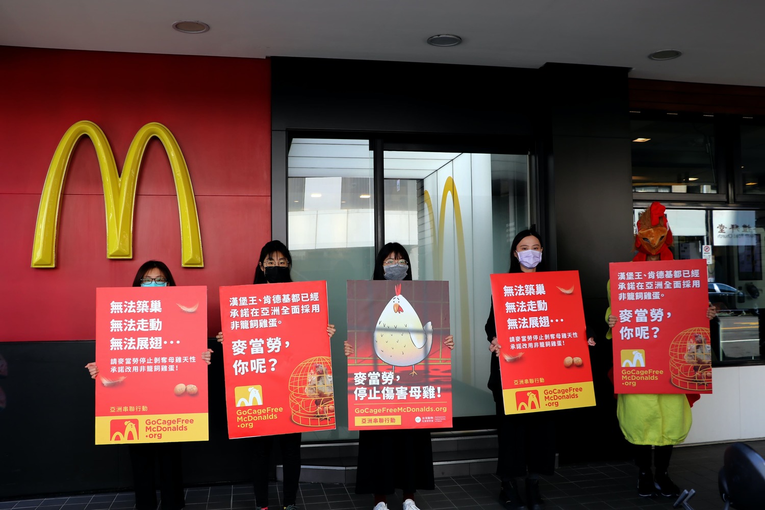 停止虐待！亞洲動保團體籲麥當勞停用籠飼雞蛋