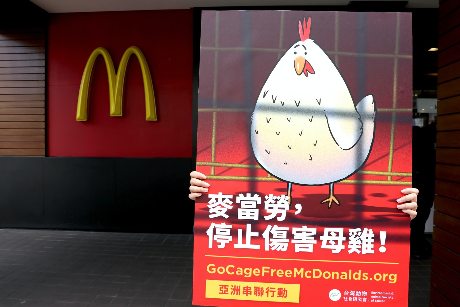停止虐待！亞洲動保團體籲麥當勞停用籠飼雞蛋