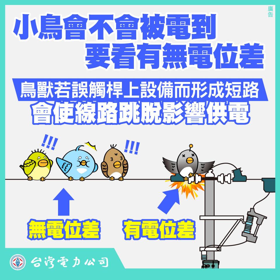 鳥獸碰觸害停電惹議！台電：相關事故9年降幅近4成