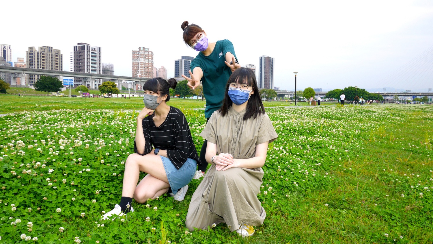 新北河濱公園下雪了 白花三葉草鋪滿地