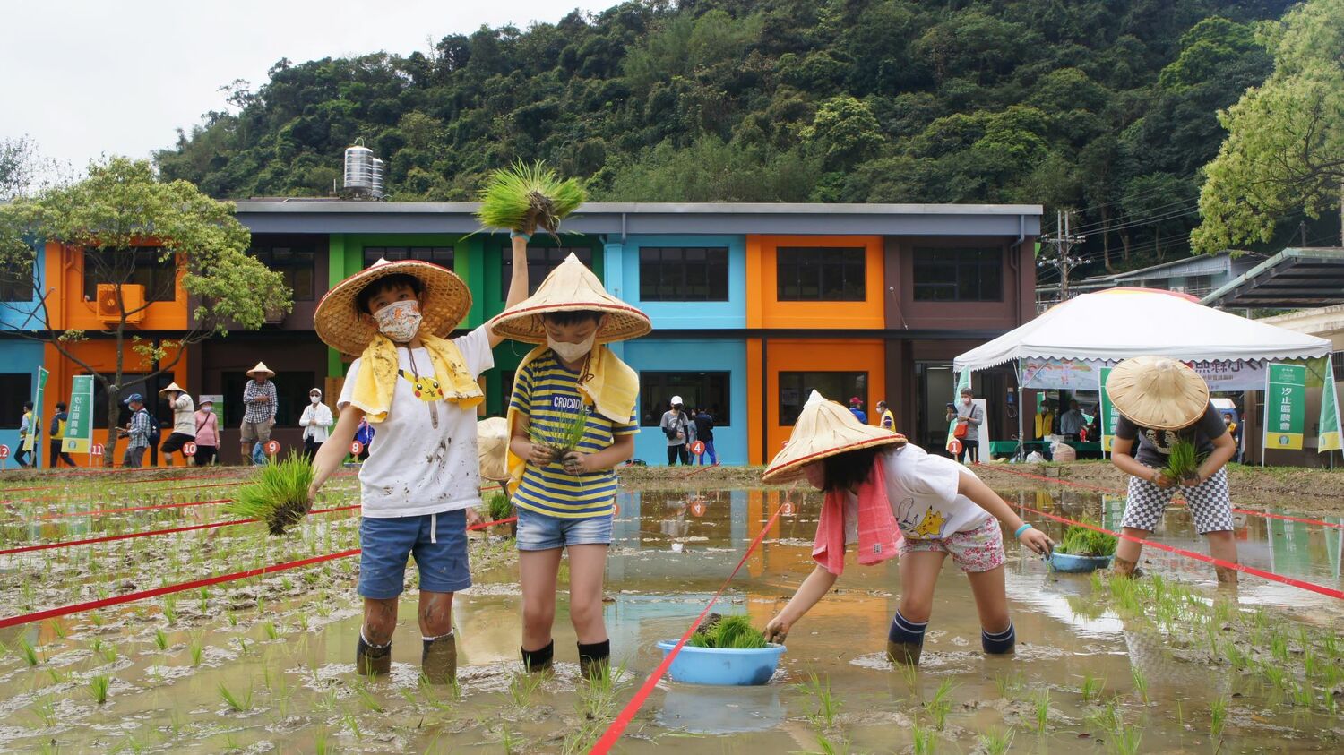 新北汐止區農會休閒中心完工啟用 長輩樂活體驗親子插秧