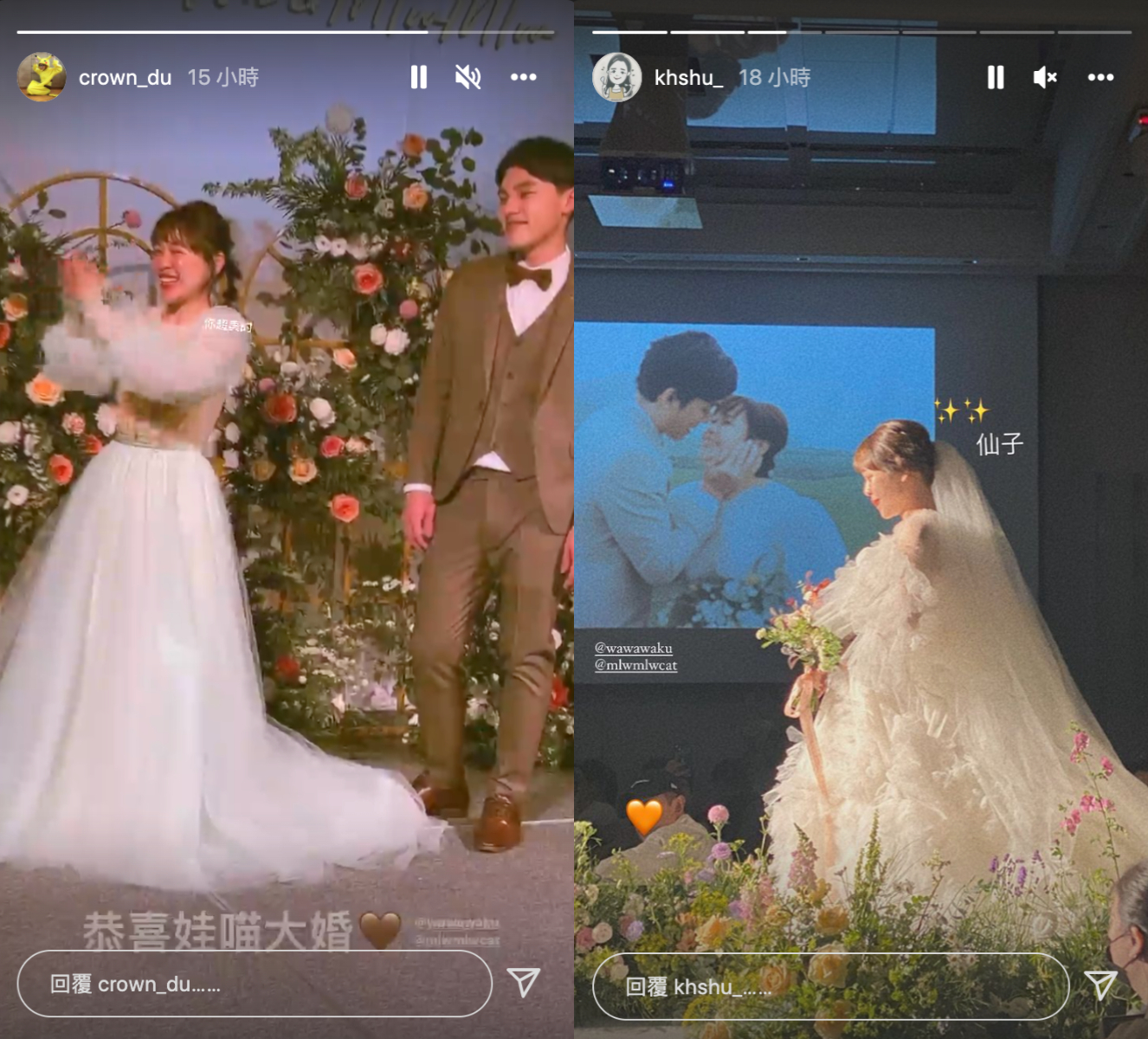 超美婚禮！古娃娃穿「仙女」白紗進場 全場感動：恭喜娃喵大婚