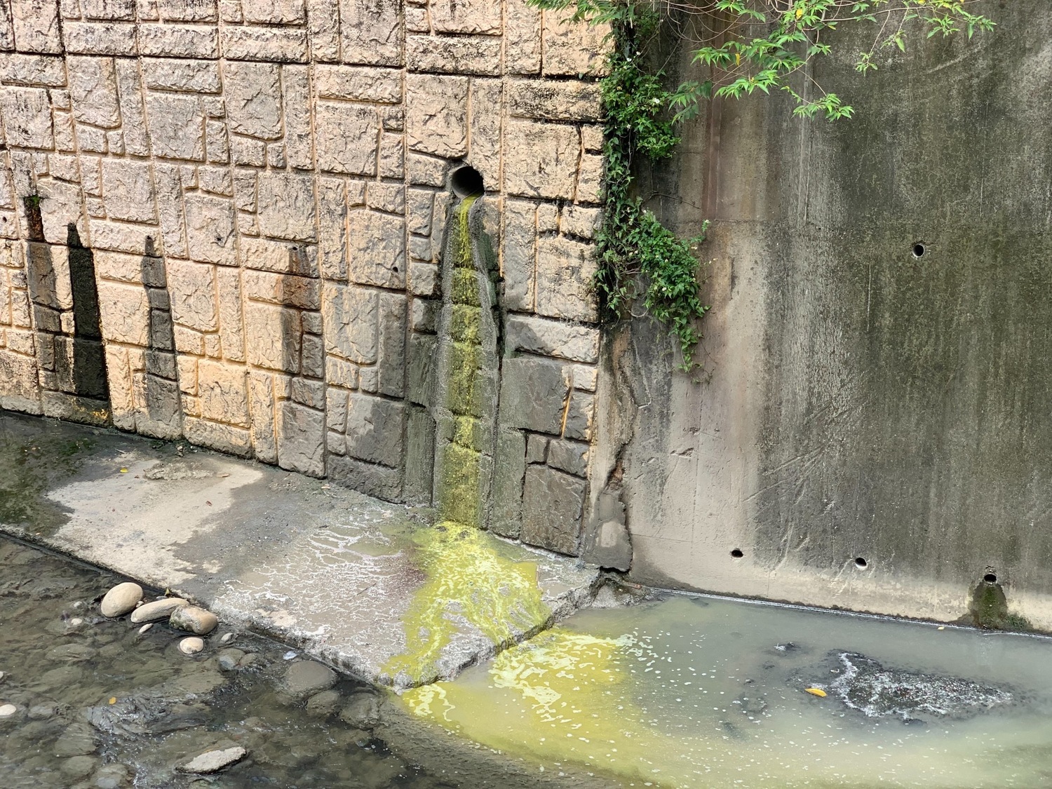以黃色追蹤劑確認污水確實由該工廠排放。   圖：新北市環保局提供