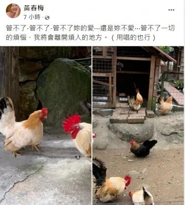 再當人妻！大S具俊曄今日完成登記  經紀人證實：新人都已收到祝福
