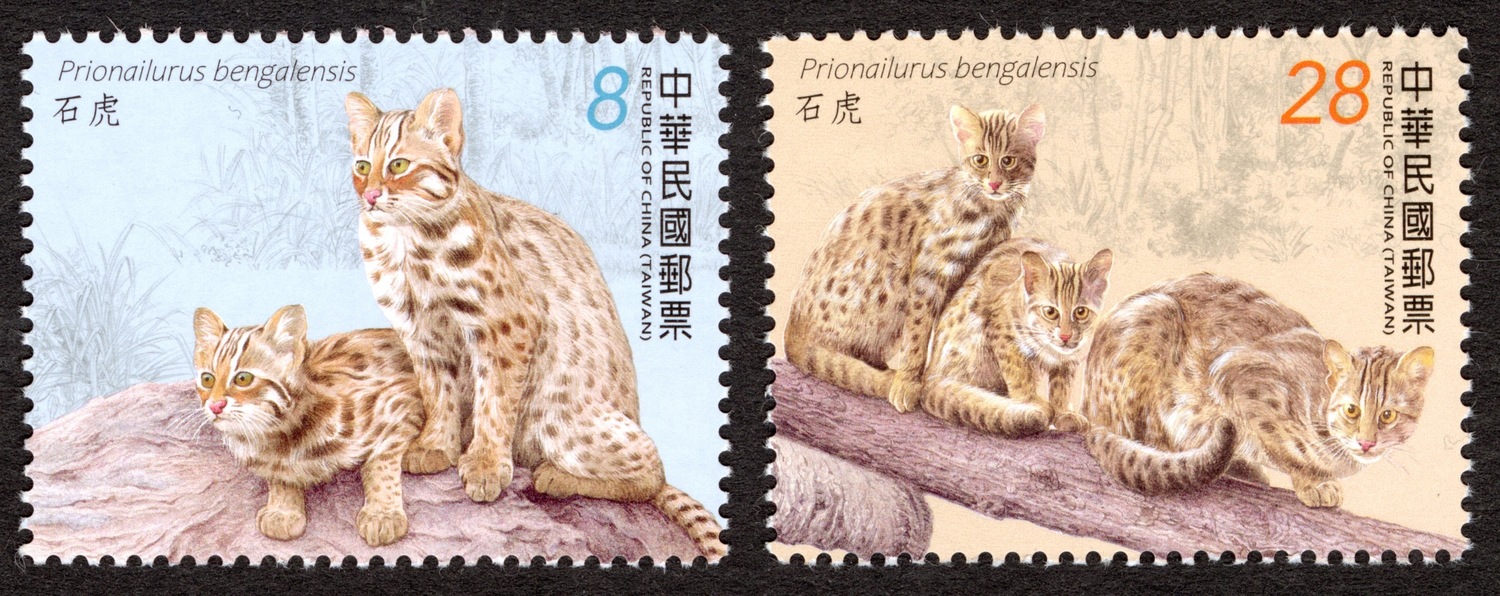 台灣瀕臨絕種哺乳動物郵票—石虎。   圖：中華郵政／提供