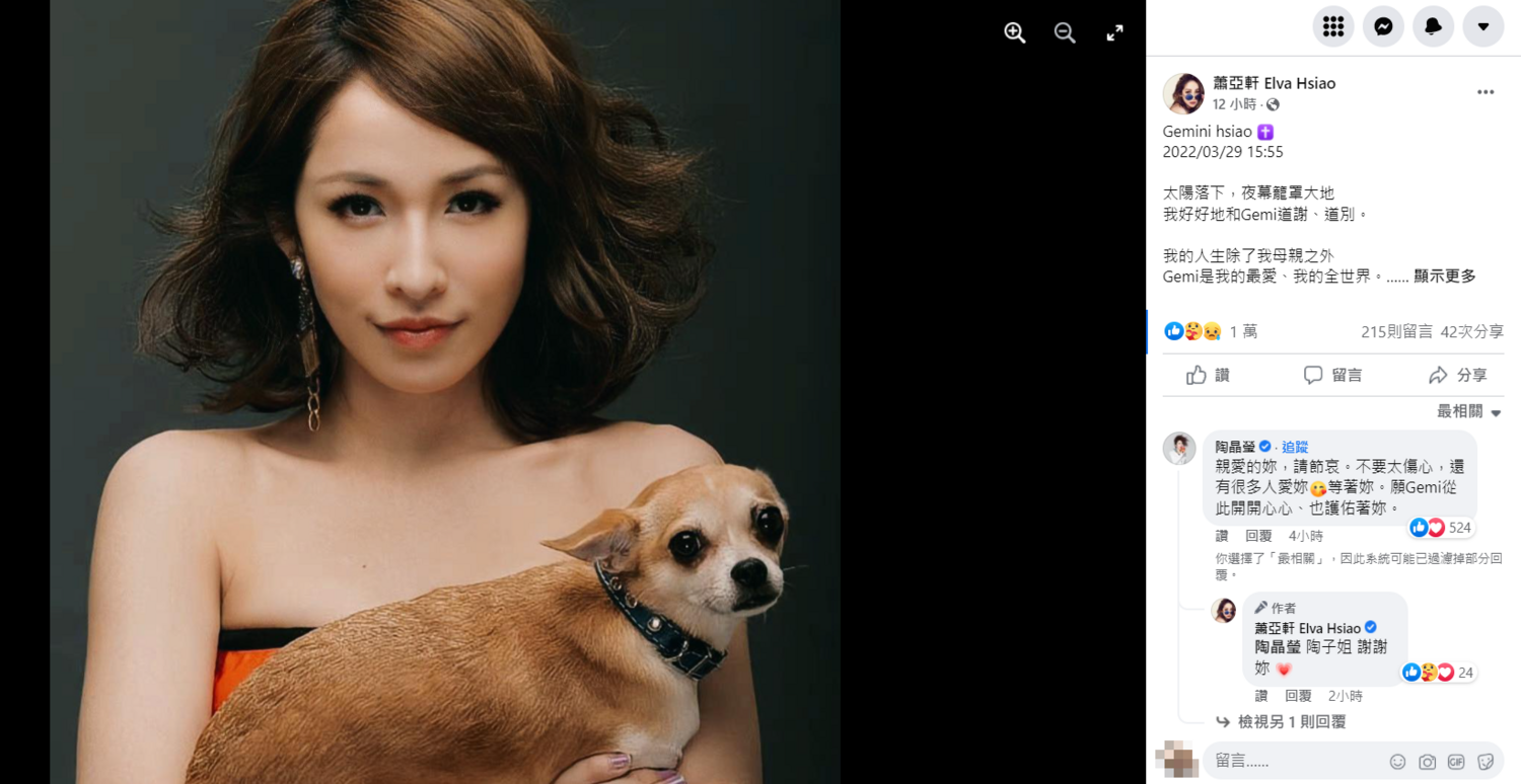 20年愛犬離世！蕭亞軒「撕心裂肺」告別：謝謝來到我生命