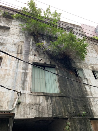 新北老市場 重建現曙光