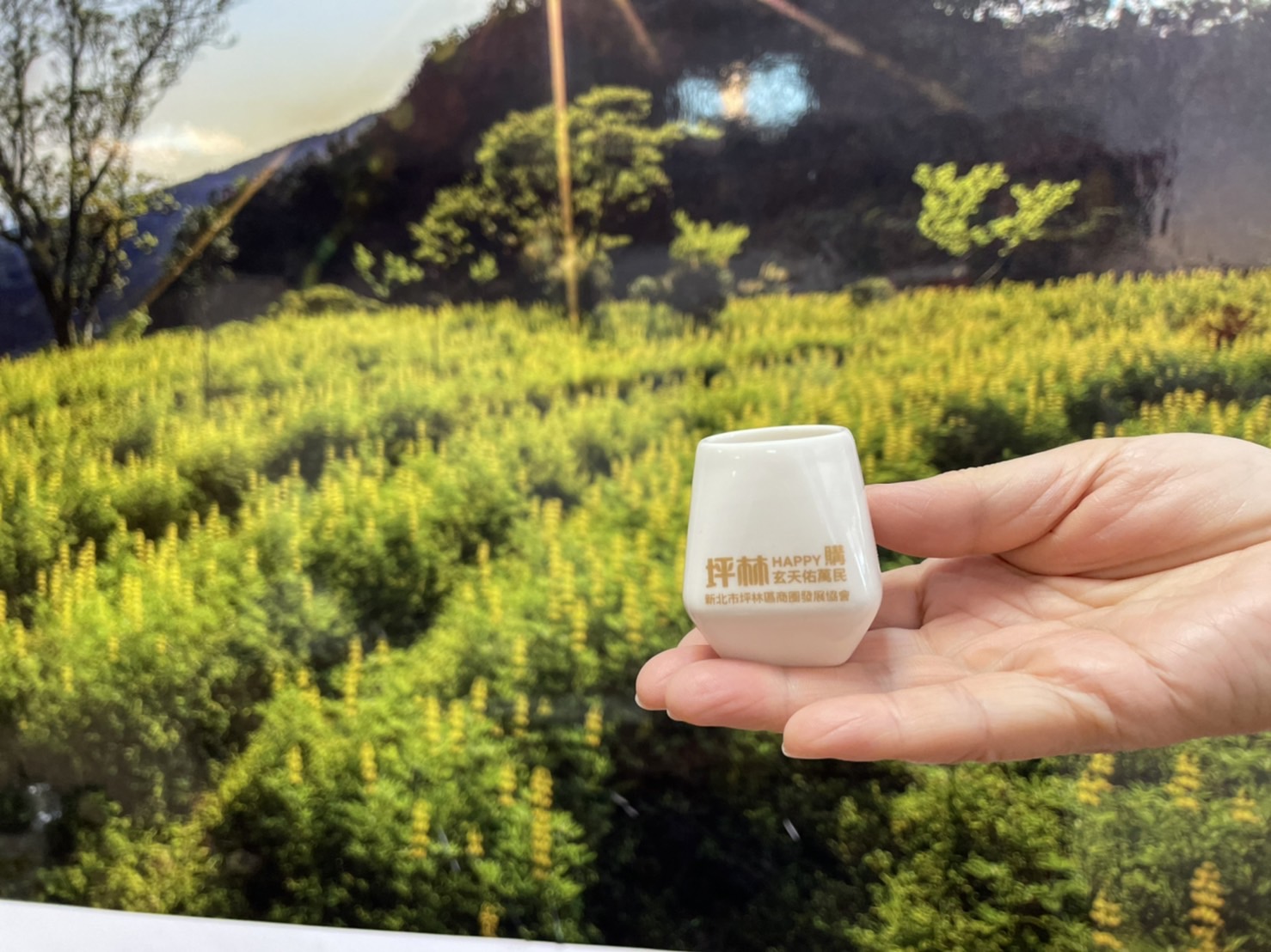 新北連假好好玩 4/30前加緊使用加倍券