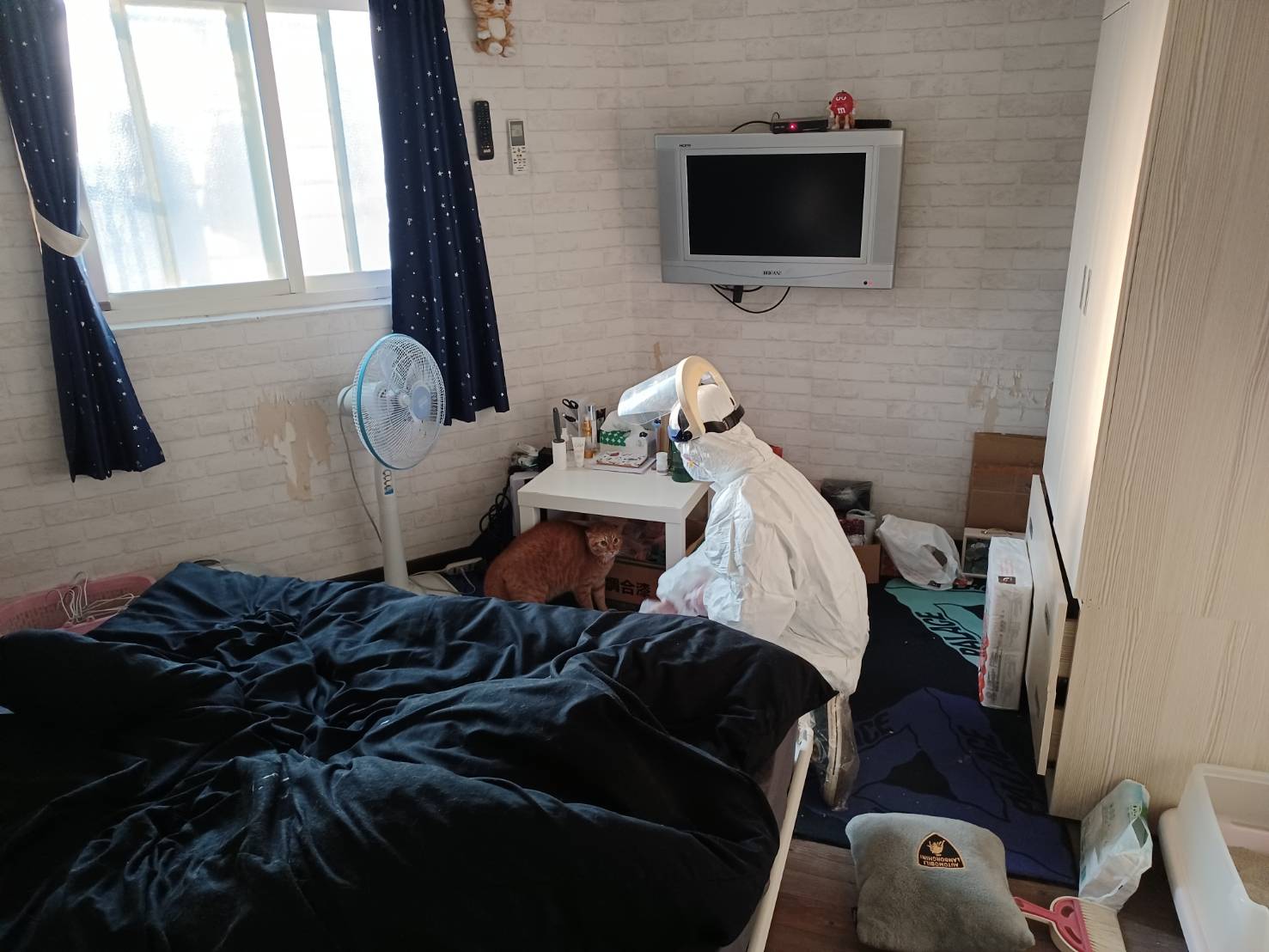 社區出現新冠疫情 新北動保處緊急協助安置寵物