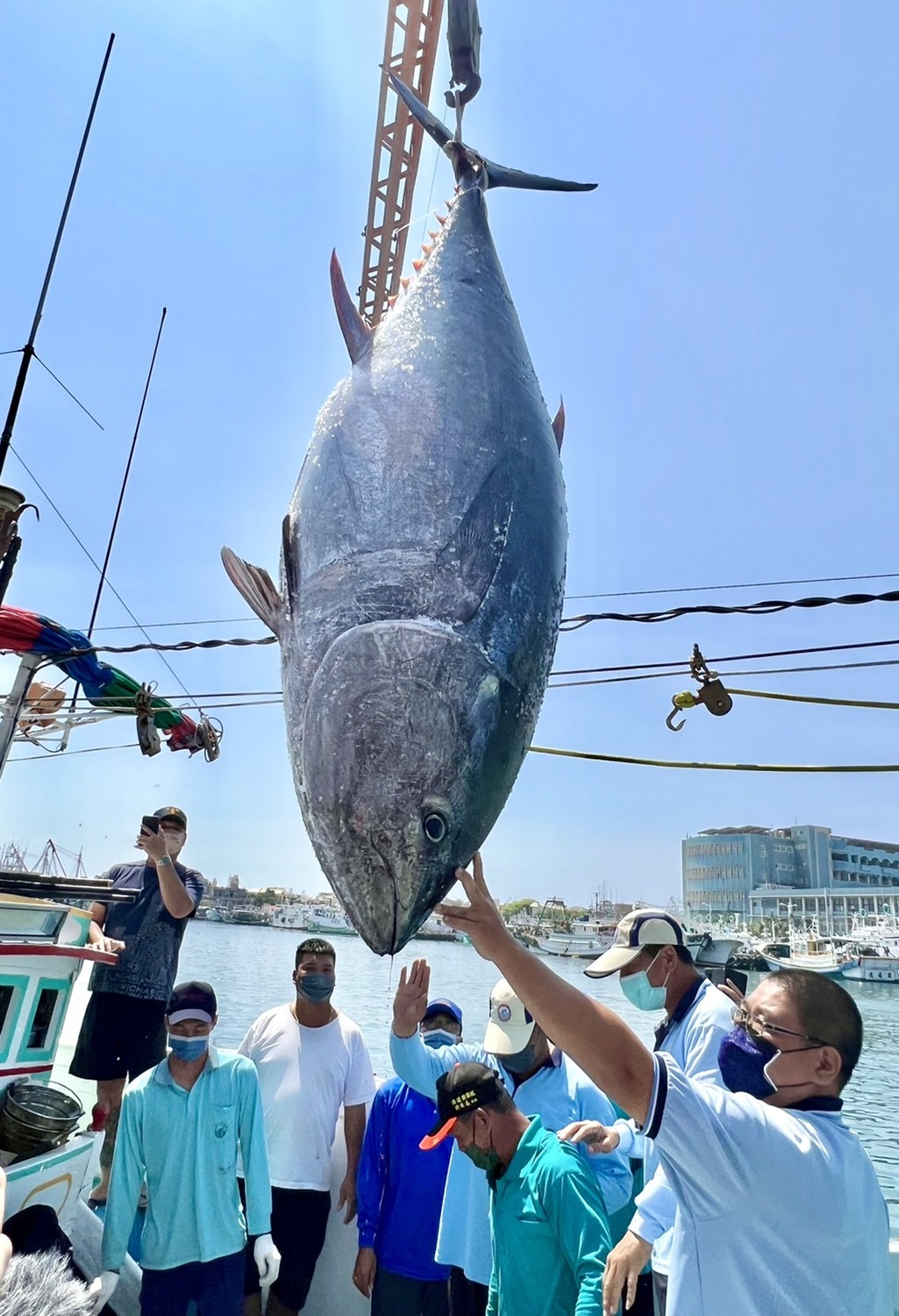 2022黑鮪魚季第一鮪確認  4/10東港魚市場公開拍賣