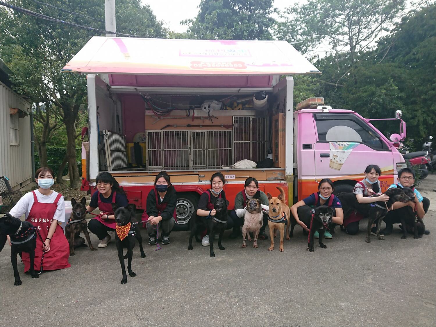 4月狂犬病疫苗補強注射月　新北提醒飼主攜毛寶貝施打
