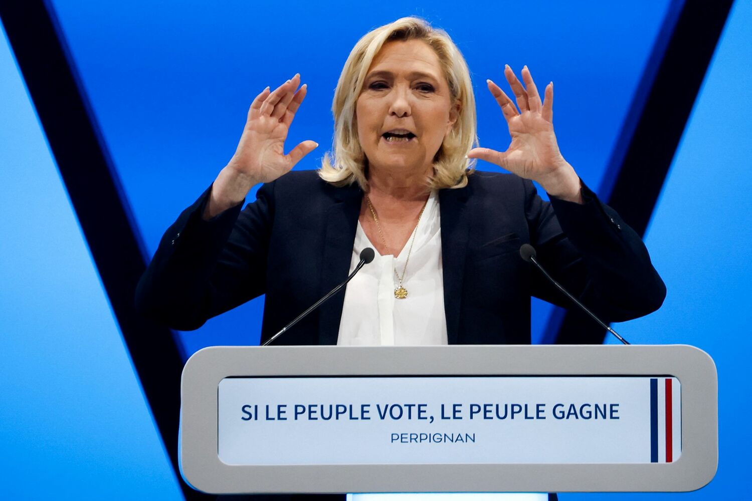 法國極右翼政黨國民聯盟 ( RN ) 領袖勒龐 ( Marine Le Pen )呼籲法國應考量自身的軍火庫存，停止向烏克蘭提供武器。   圖：達志影像/路透社