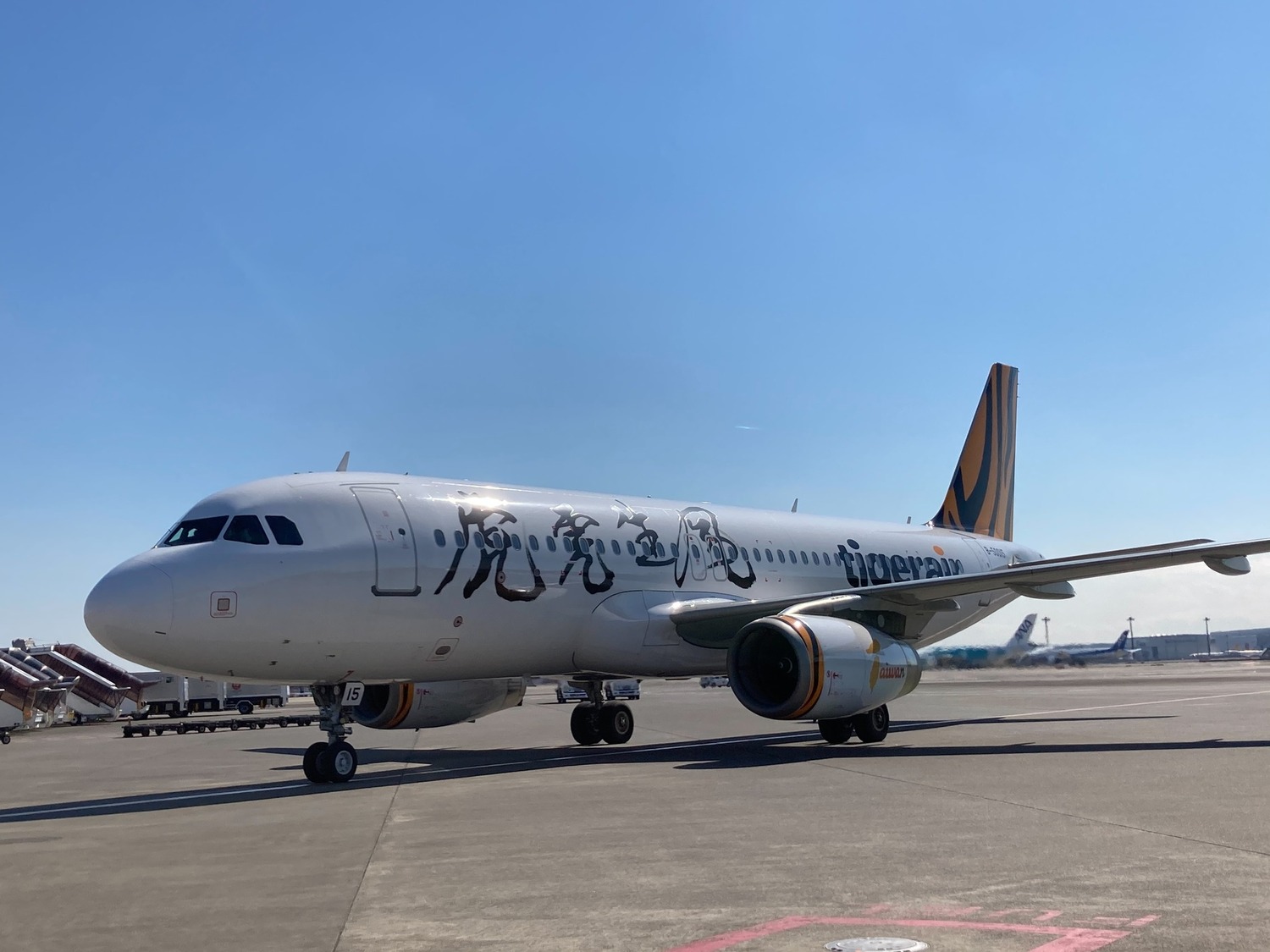 台灣虎航國內線機師染疫！已打3劑疫苗  感染源不明